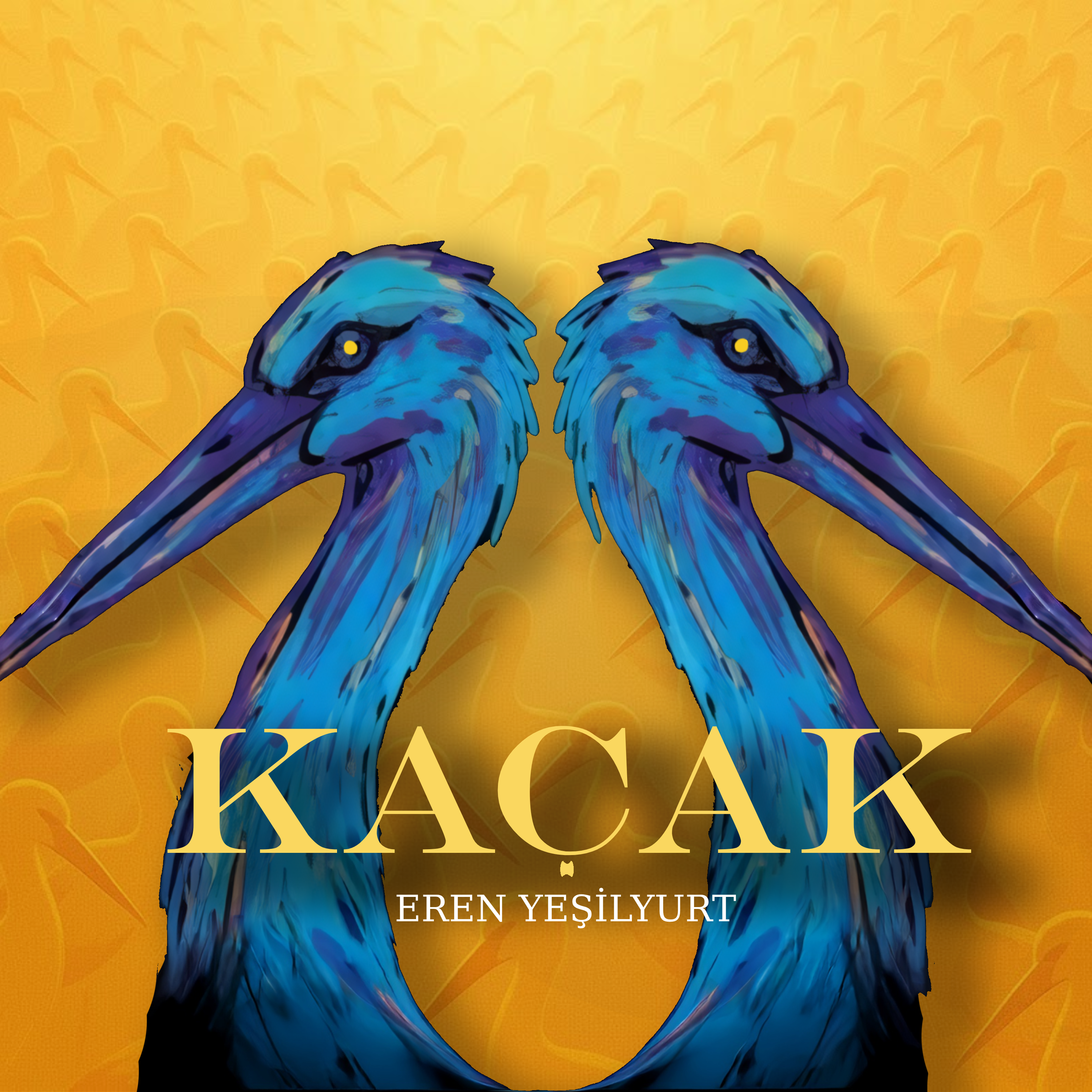 EREN YEŞİLYURT – KAÇAK ALBÜM KAPAĞI